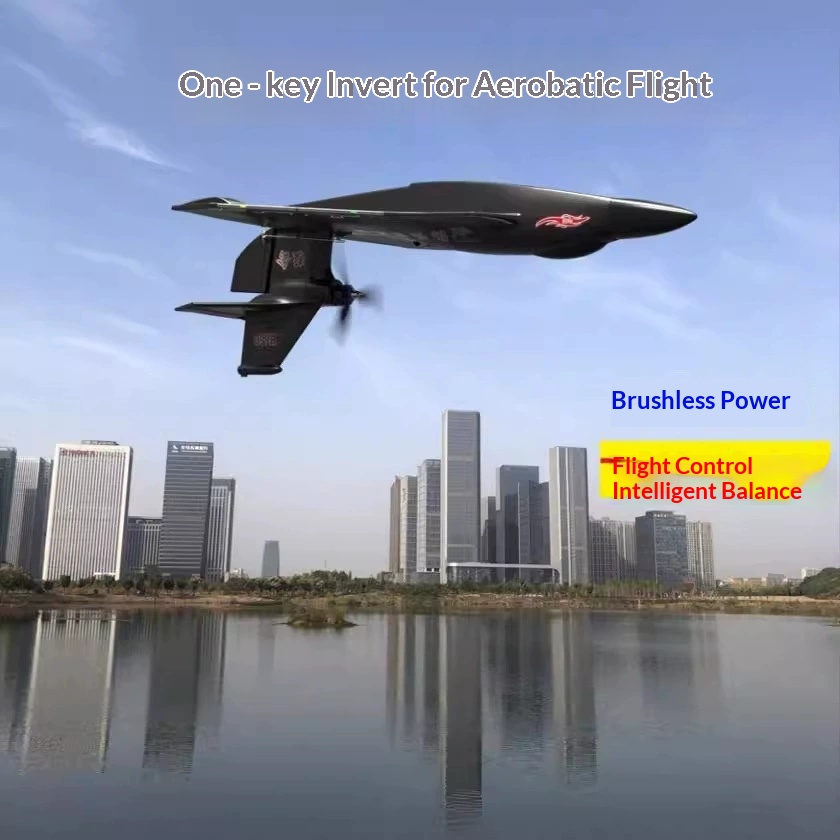 Rc Glider Foam Wing - طائرة تحكم عن بعد 6CH H650